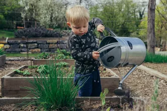 Ein Junge gießt Pflanzen in einem Garten. 
