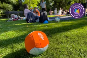 Ein Ball im Park