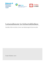 2026-10-06-Positionspapier-Caritas-Diakonie-Lotsendienste-Geburtskliniken